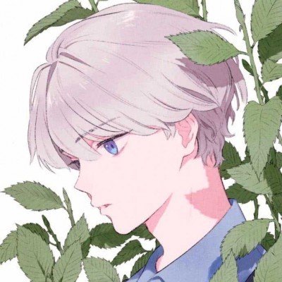 在校内被流浪狗围咬女生发声